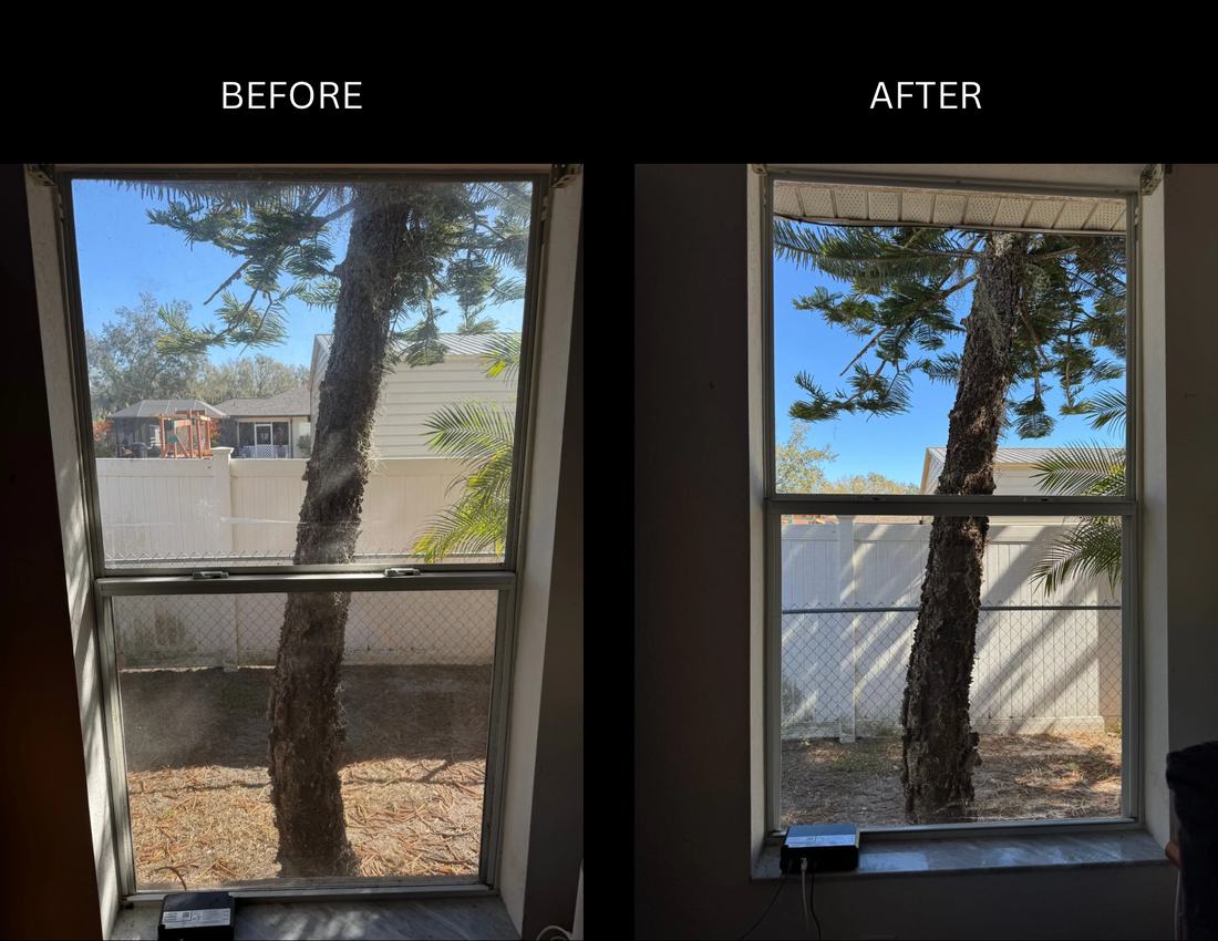 Before and after window cleaning showing a backyard tree brought into sharp focus through clean glass